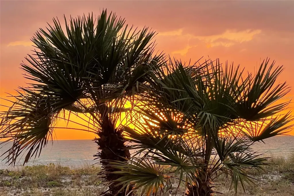 1460 Gulf Boulevard Clearwater Beach FL 33767