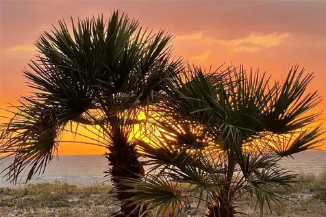 1460 Gulf Boulevard Clearwater Beach FL 33767