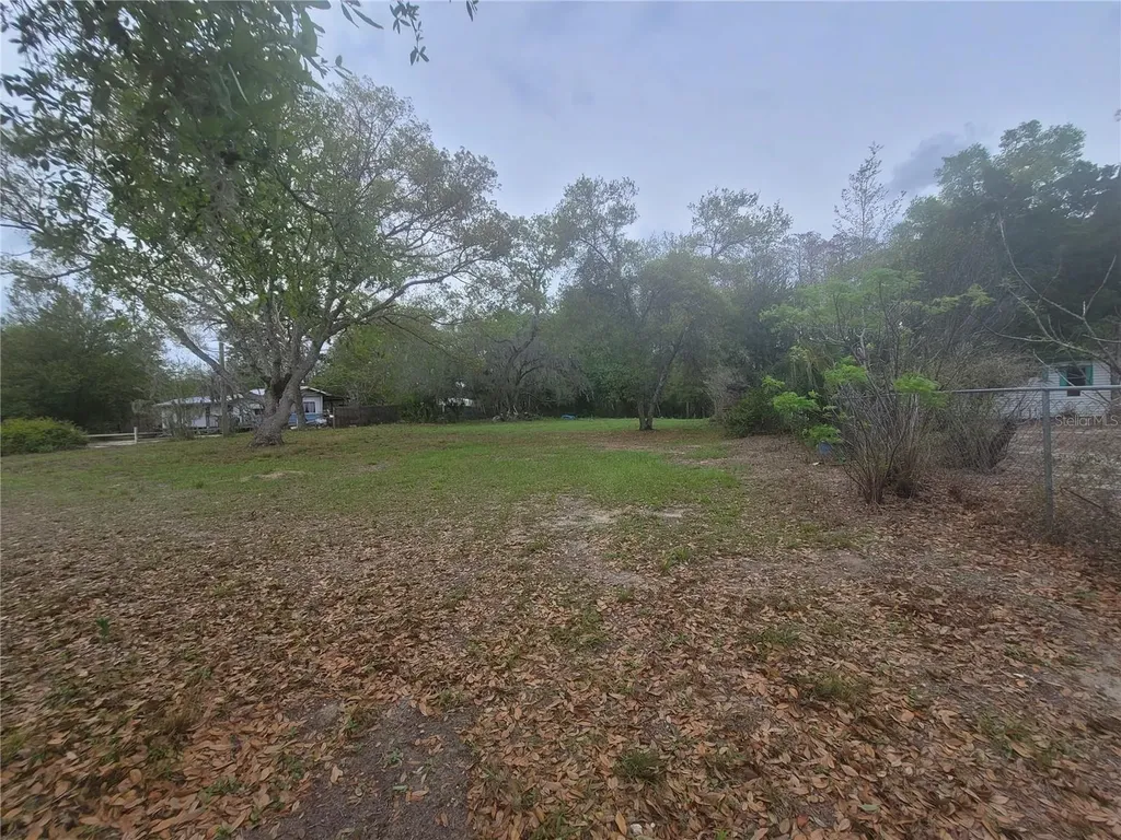 11641 Bruin Drive New Port Richey FL 34654
