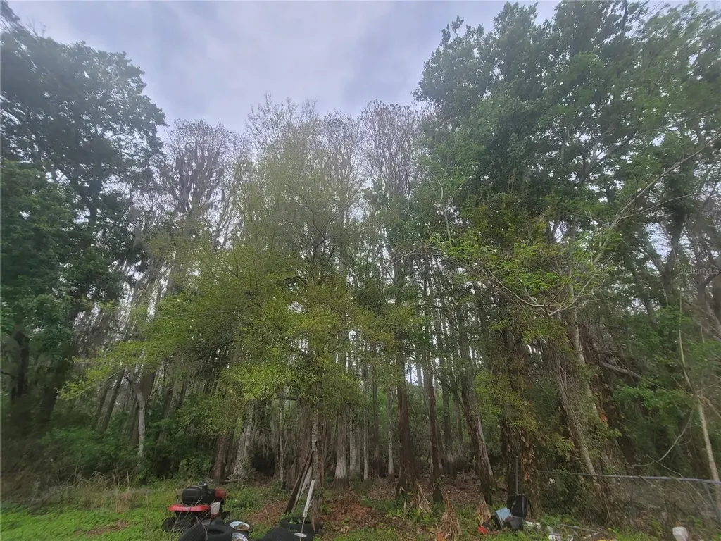 11641 Bruin Drive New Port Richey FL 34654