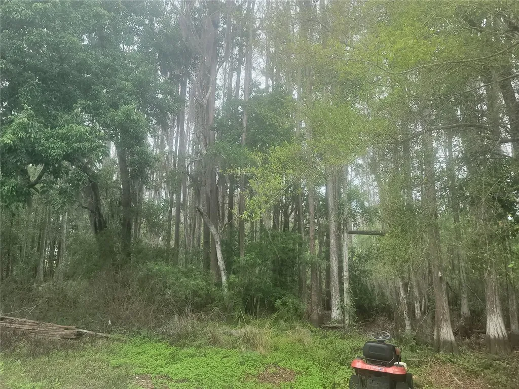 11641 Bruin Drive New Port Richey FL 34654