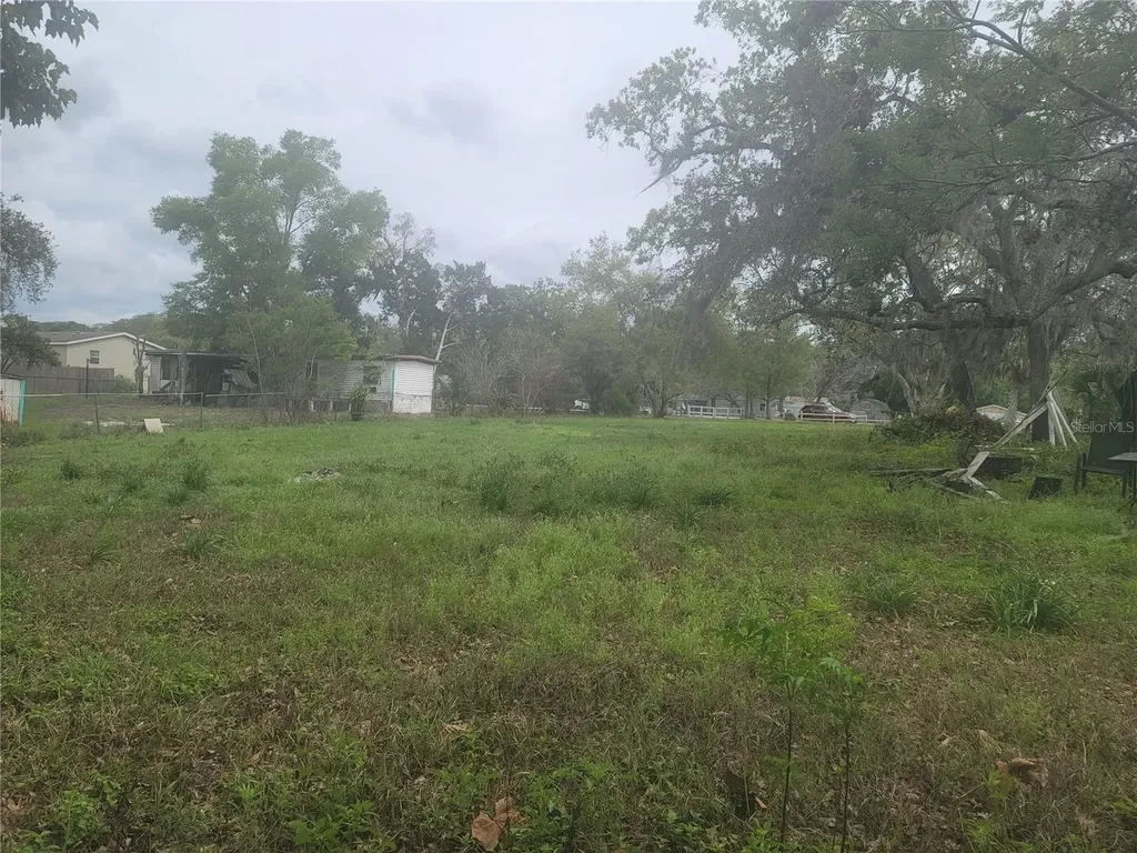 11641 Bruin Drive New Port Richey FL 34654