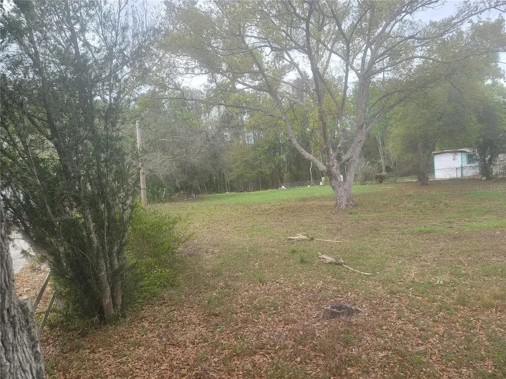 11641 Bruin Drive New Port Richey FL 34654