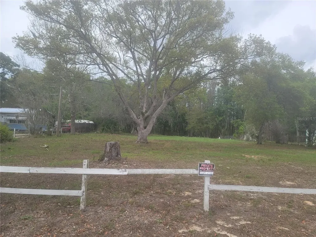 11641 Bruin Drive New Port Richey FL 34654