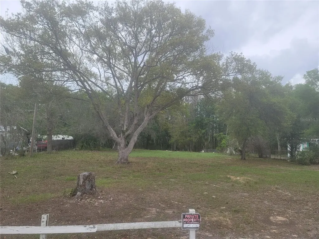 11641 Bruin Drive New Port Richey FL 34654