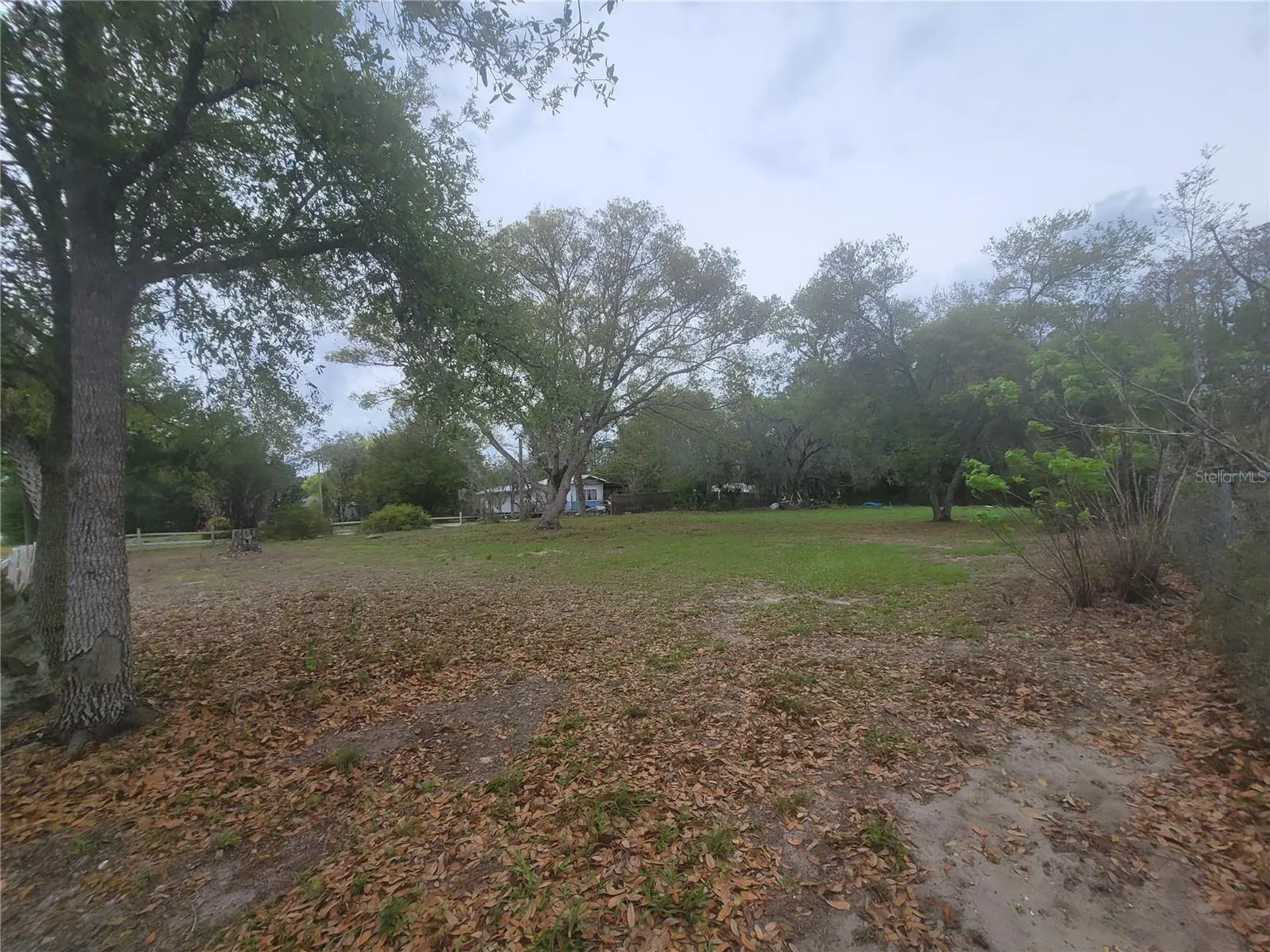 11641 Bruin Drive New Port Richey FL 34654