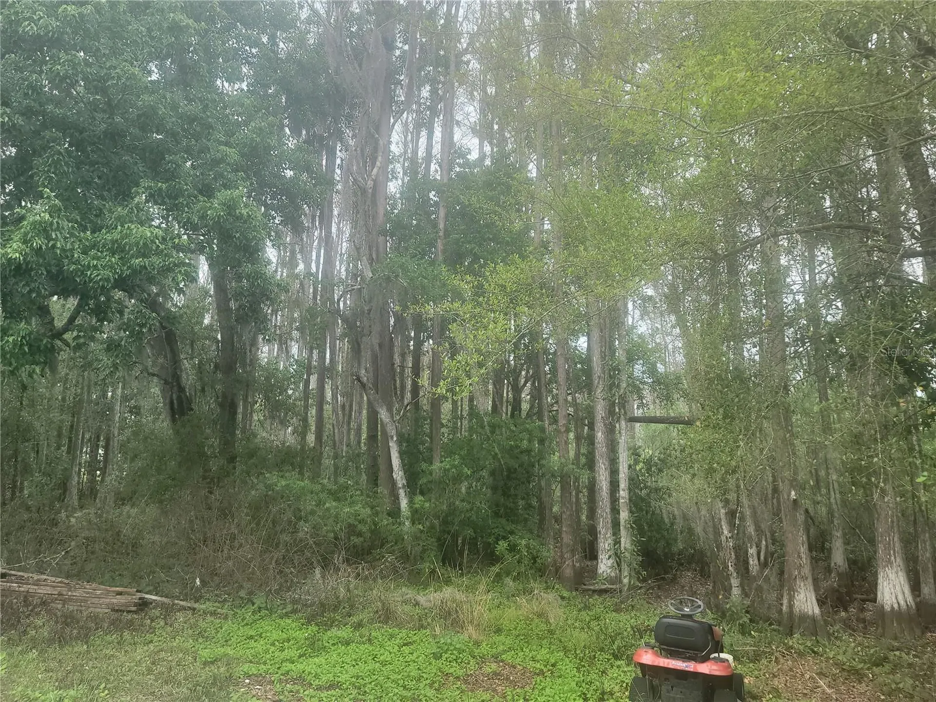 11641 Bruin Drive New Port Richey FL 34654