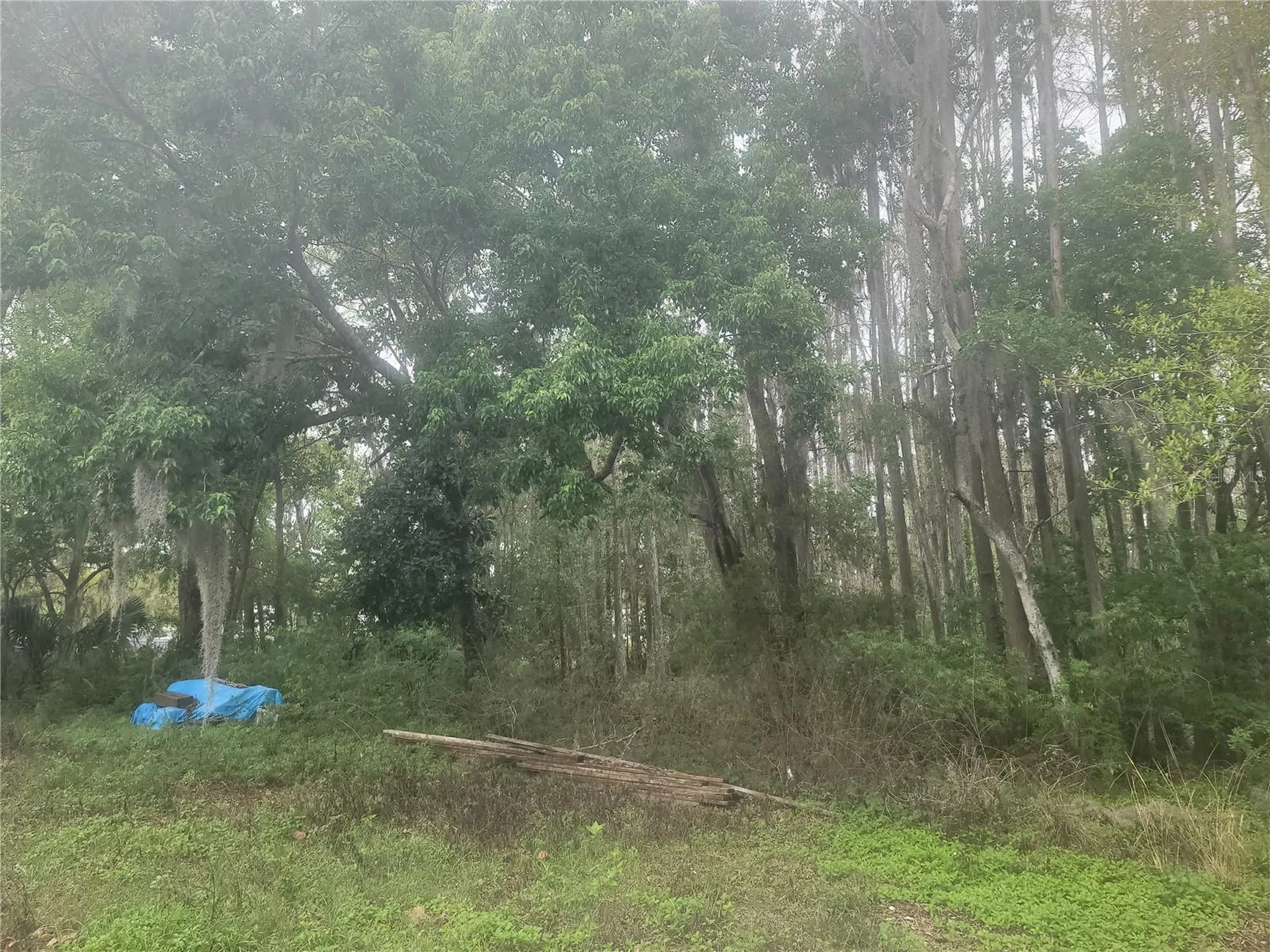 11641 Bruin Drive New Port Richey FL 34654
