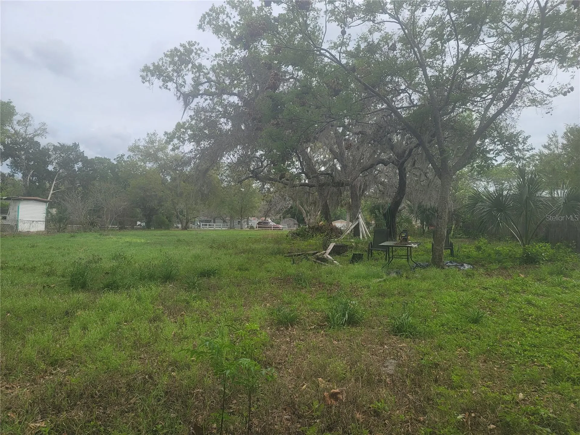 11641 Bruin Drive New Port Richey FL 34654