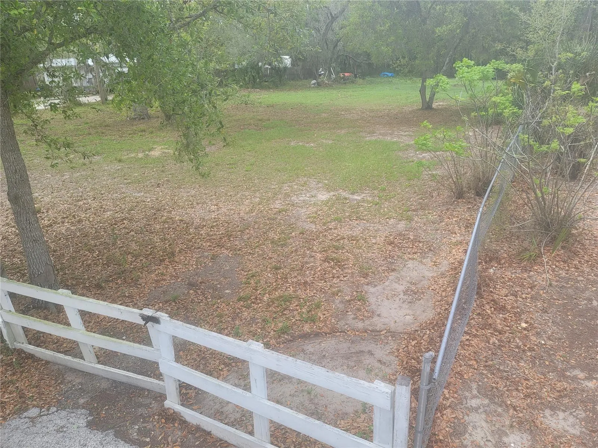 11641 Bruin Drive New Port Richey FL 34654