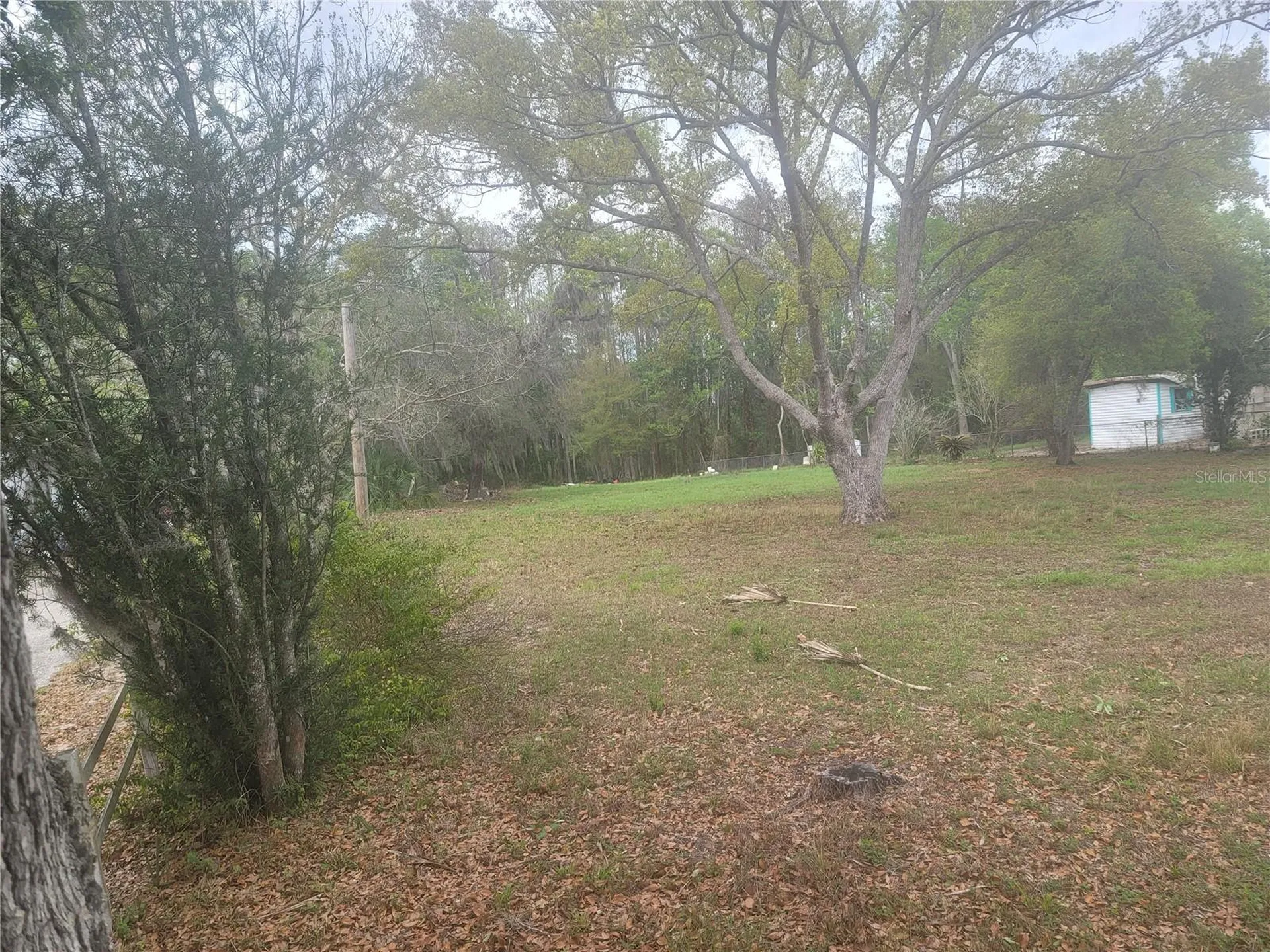 11641 Bruin Drive New Port Richey FL 34654