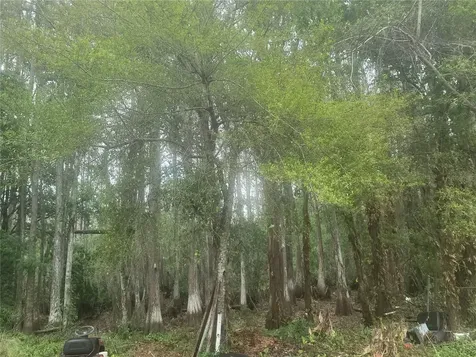 11641 Bruin Drive New Port Richey FL 34654