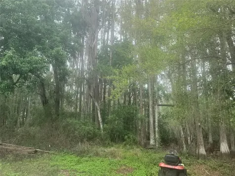 11641 Bruin Drive New Port Richey FL 34654