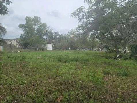11641 Bruin Drive New Port Richey FL 34654