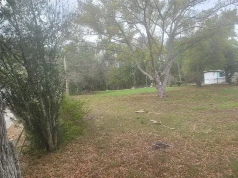 11641 Bruin Drive New Port Richey FL 34654