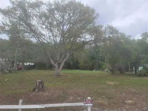 11641 Bruin Drive New Port Richey FL 34654