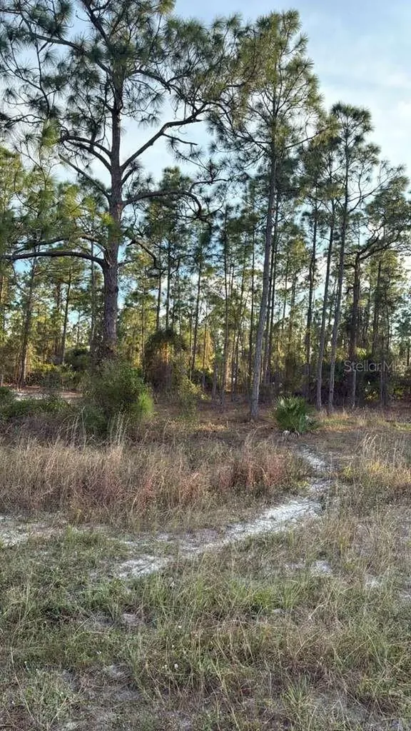 918 Belmont Street E Lehigh Acres FL 33974