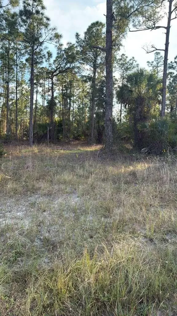 918 Belmont Street E Lehigh Acres FL 33974