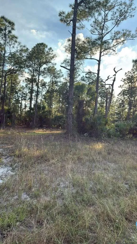 918 Belmont Street E Lehigh Acres FL 33974