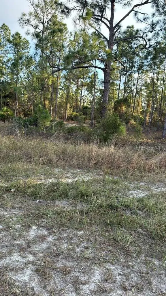 918 Belmont Street E Lehigh Acres FL 33974