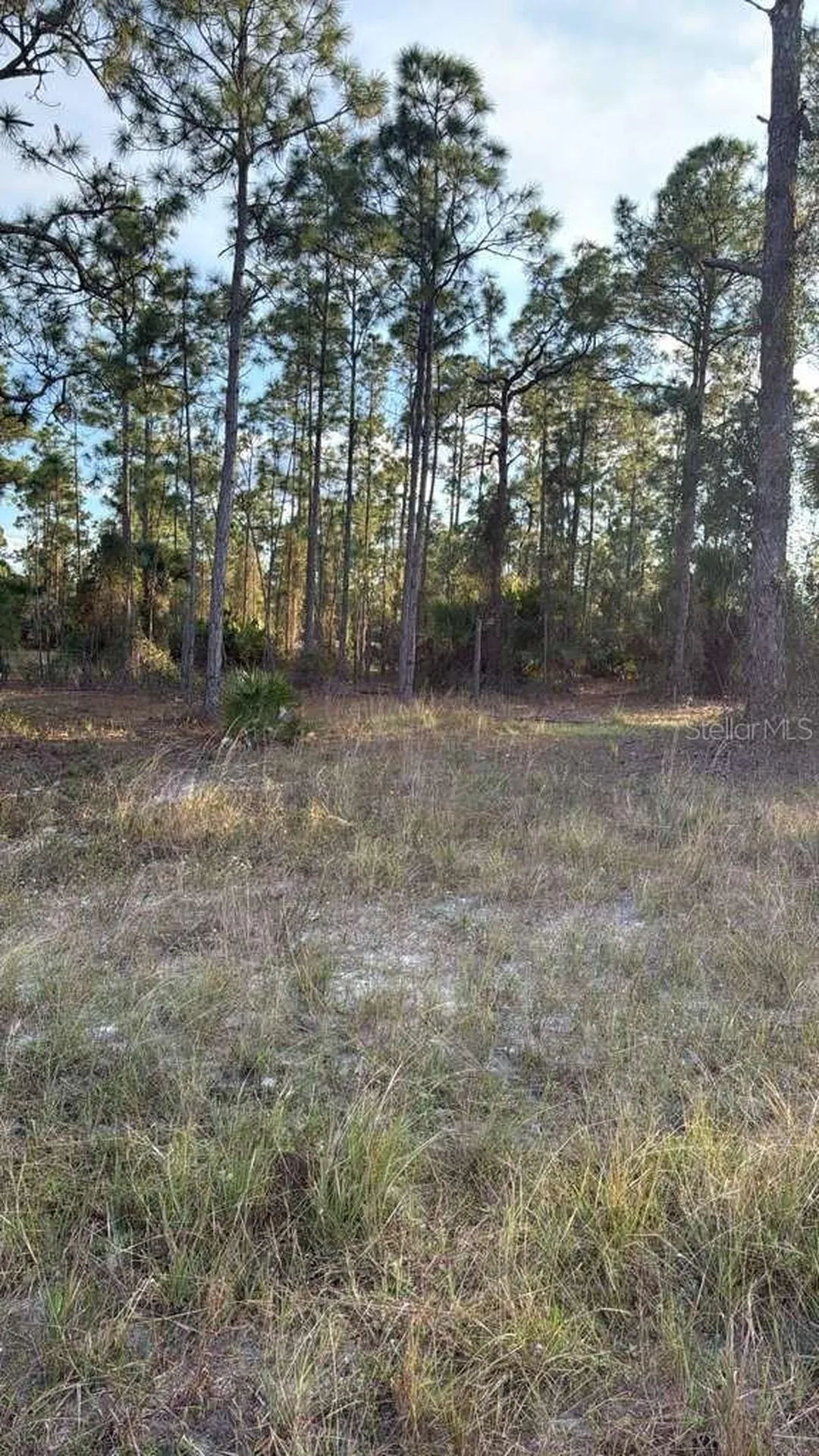 918 Belmont Street E Lehigh Acres FL 33974