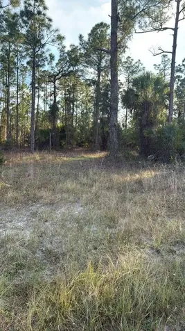 918 Belmont Street E Lehigh Acres FL 33974