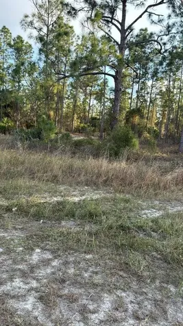 918 Belmont Street E Lehigh Acres FL 33974