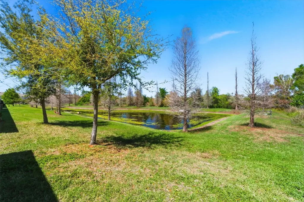 10668 Lake Montauk Drive Riverview FL 33578
