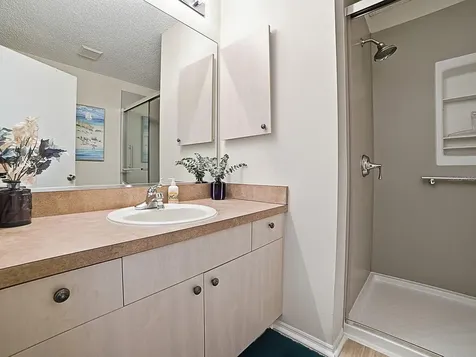 17385 SE 78th Draughton Court The Villages FL 32162