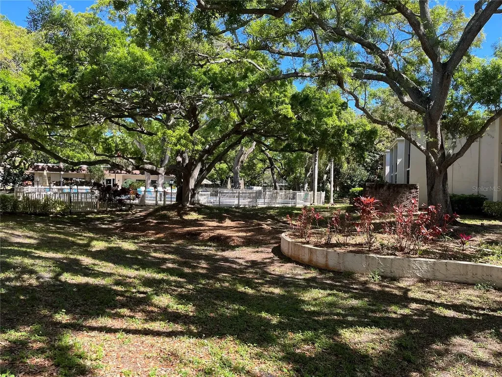 870 Virginia Street Dunedin FL 34698