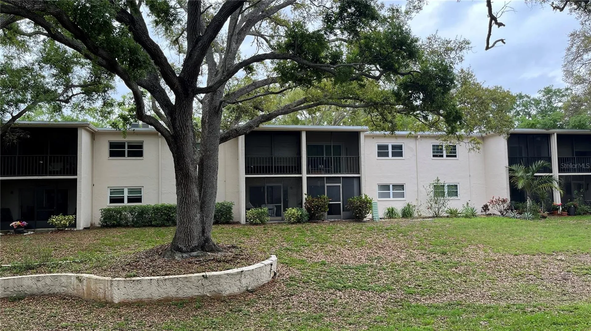 870 Virginia Street Dunedin FL 34698