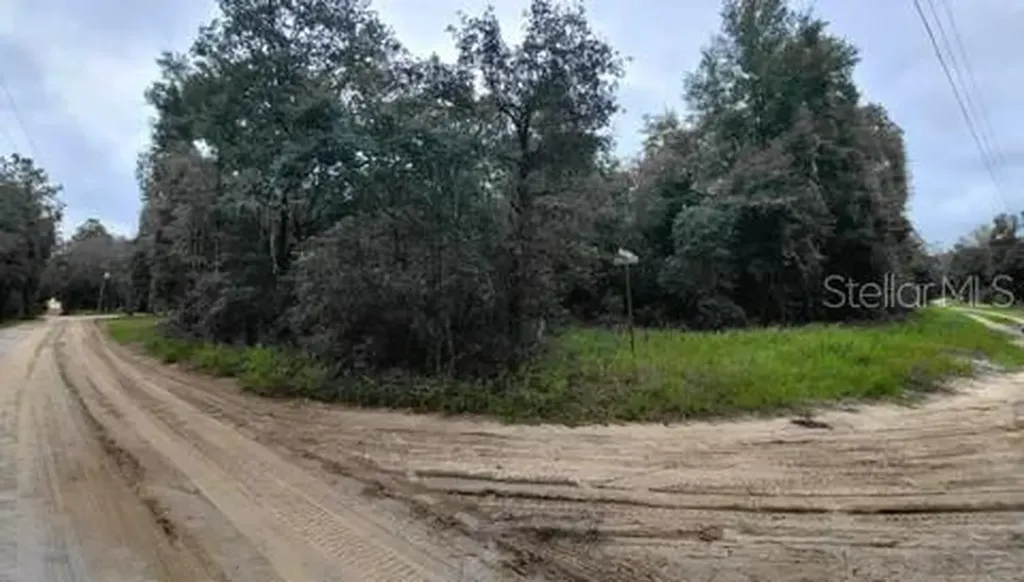 Tbd NE 120th Street Bronson FL 32621