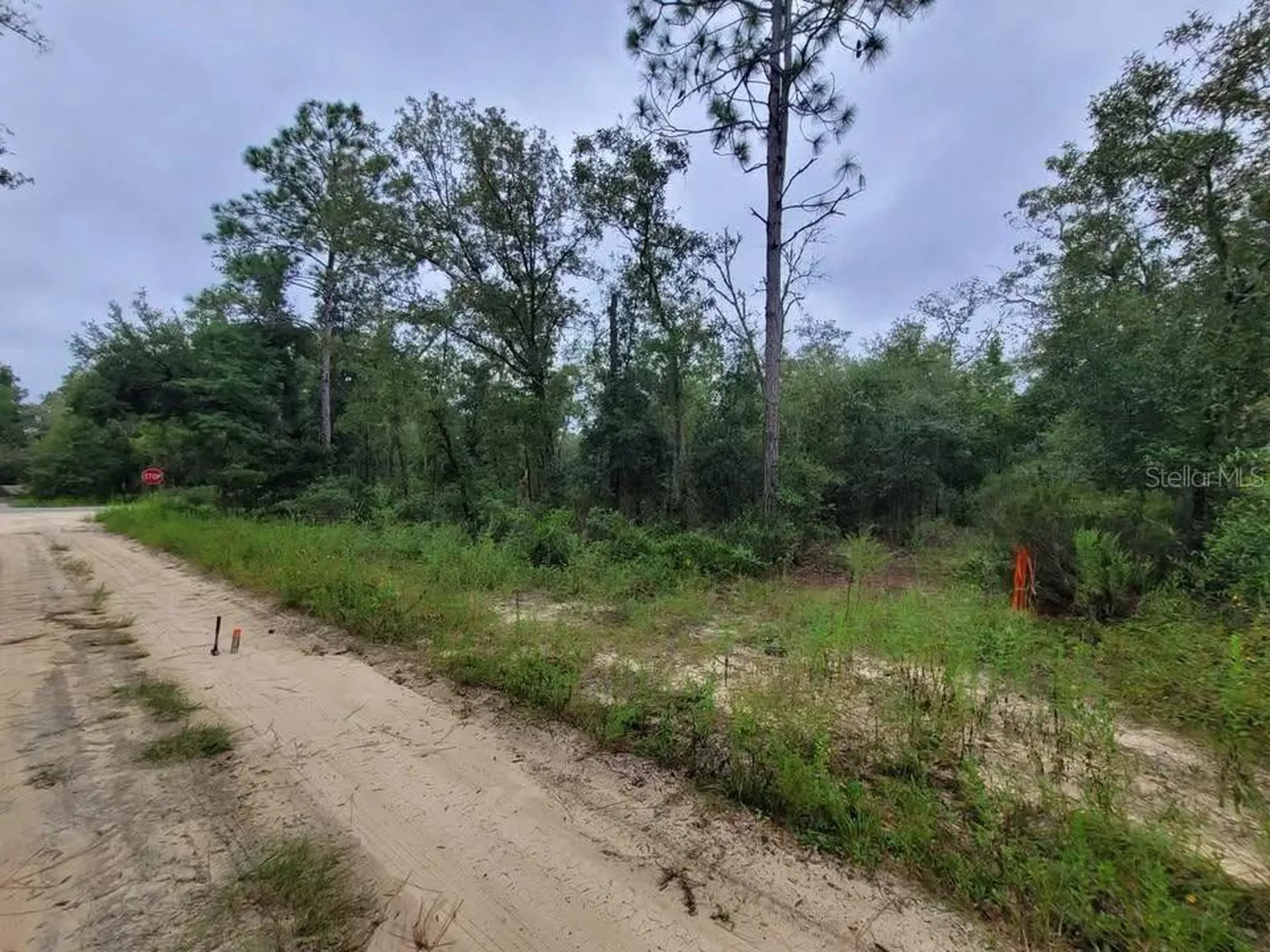 Tbd NE 120th Street Bronson FL 32621