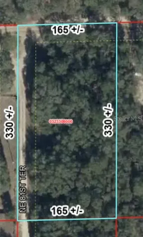 Tbd NE 120th Street Bronson FL 32621