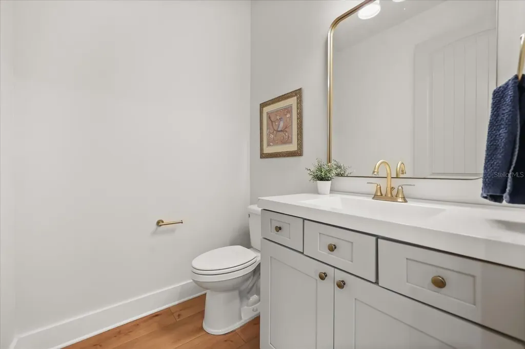 21709 Hidden Creek Lane Mount Dora FL 32757