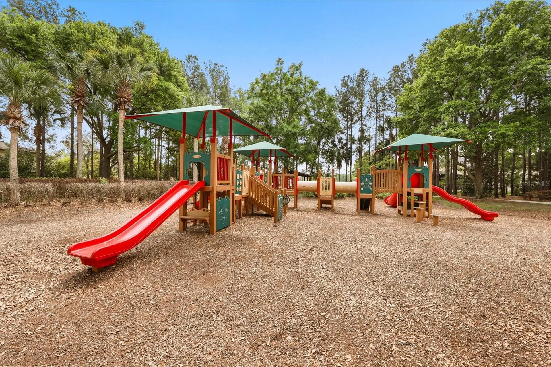 21709 Hidden Creek Lane Mount Dora FL 32757