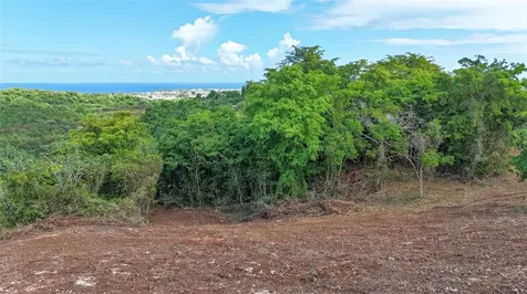 Km 2.4 Int La Rampla Hatillo PR 00659