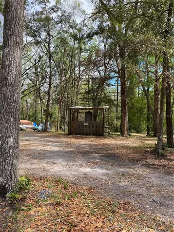 8587 SW Elim Church Road Fort White FL 32038