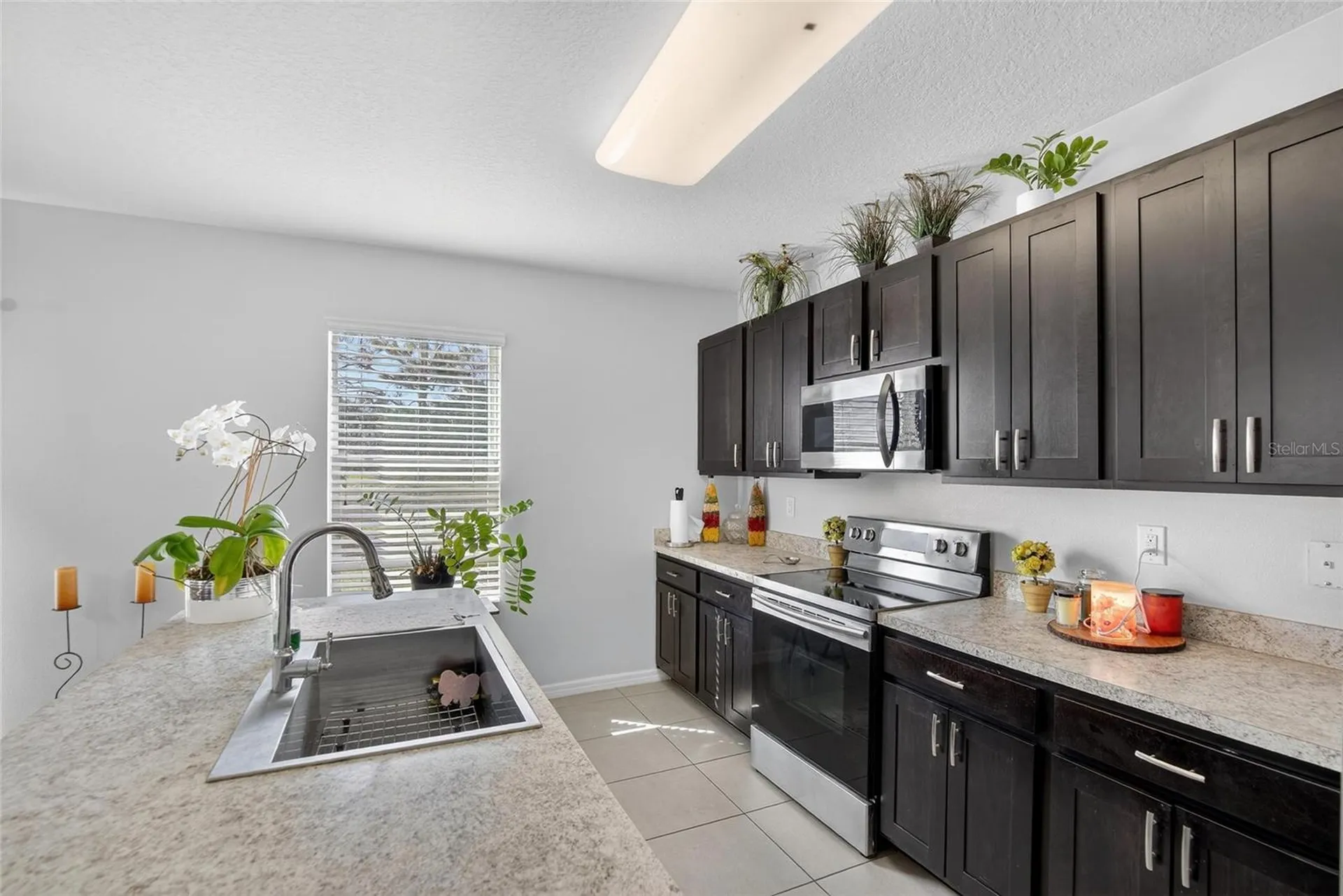 35716 Hillbrook Avenue Zephyrhills FL 33541