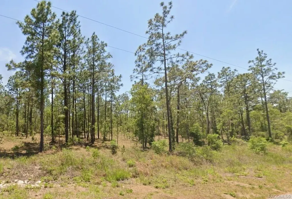 0 NW Water Oak Dunnellon FL 34431