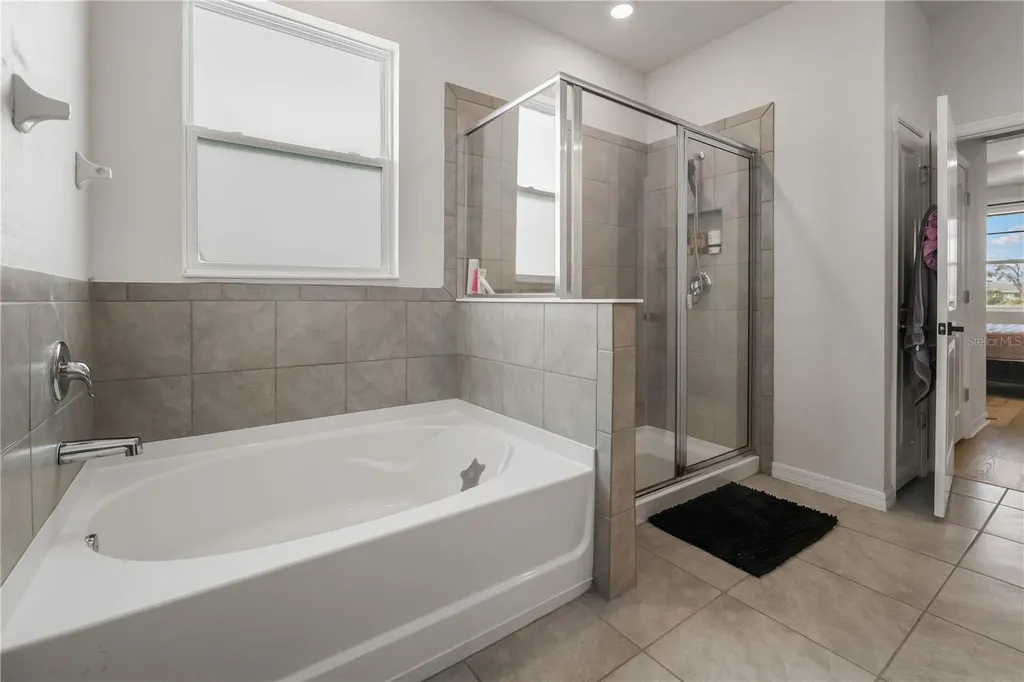 13166 Brookside Moss Drive Riverview FL 33579