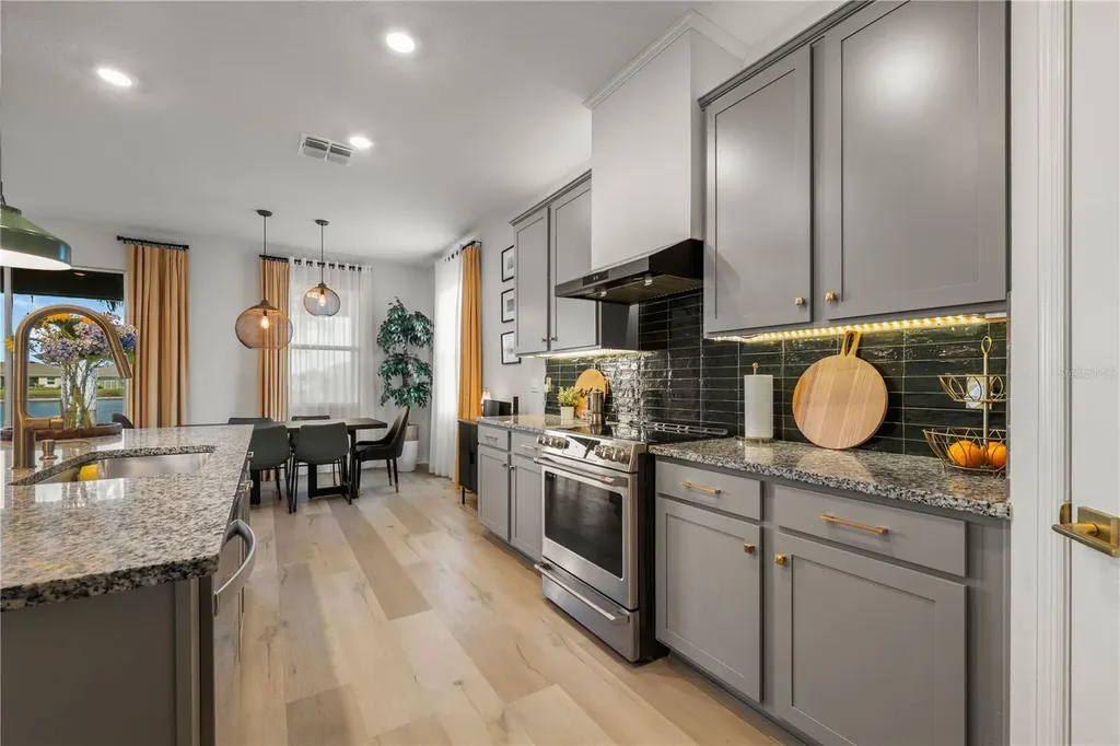 13166 Brookside Moss Drive Riverview FL 33579