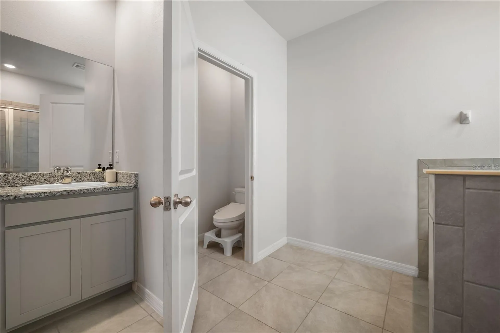 13166 Brookside Moss Drive Riverview FL 33579