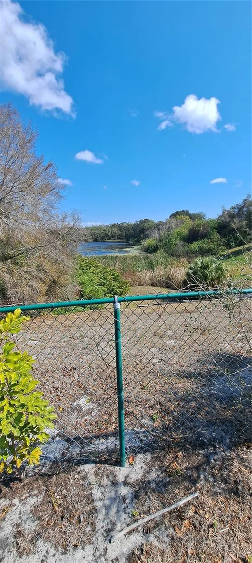 3037 Park Lane Dunedin FL 34698