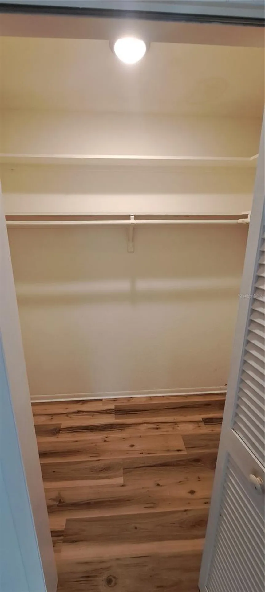 3037 Park Lane Dunedin FL 34698