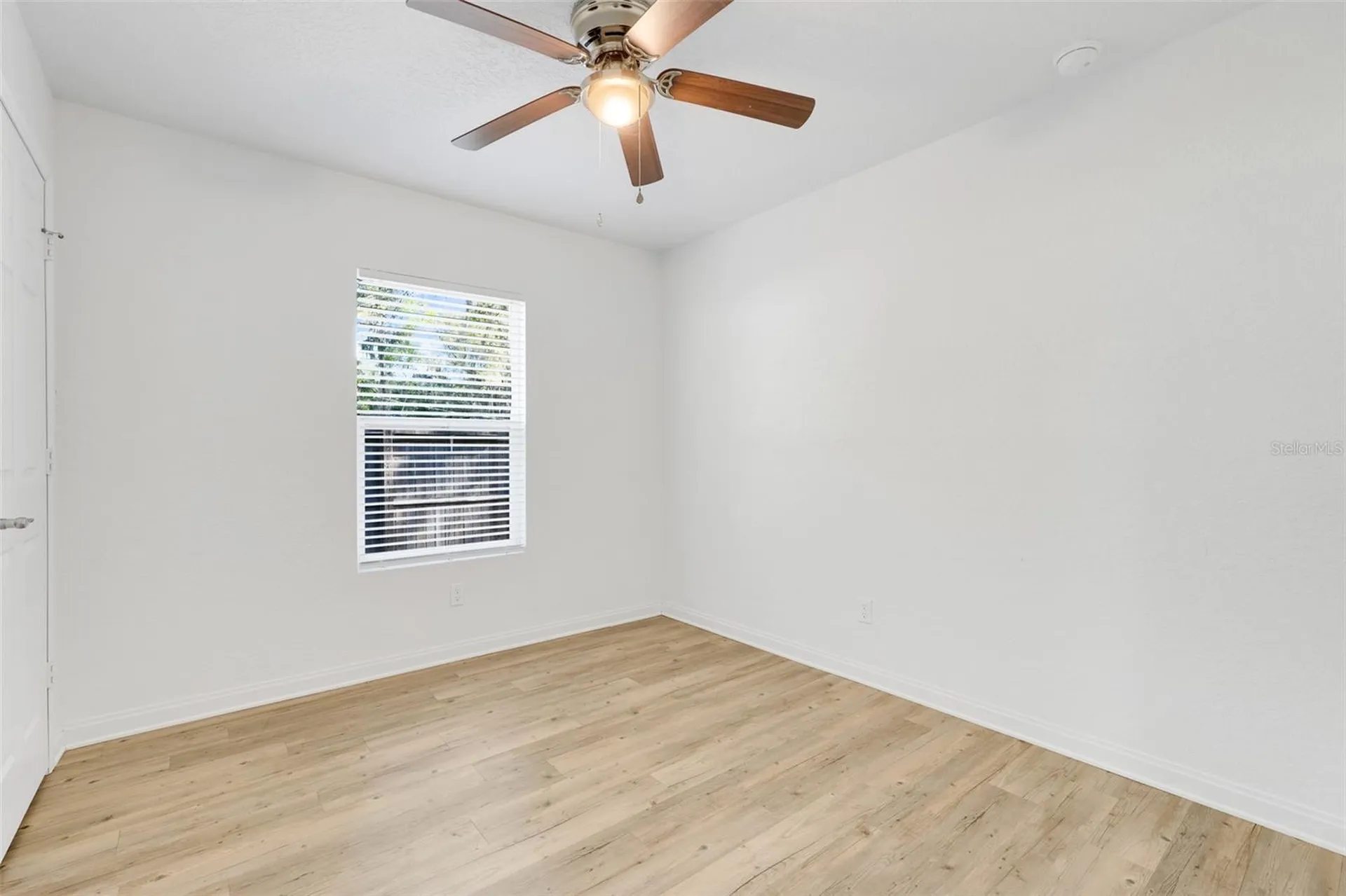 342 NW 9th Avenue Webster FL 33597