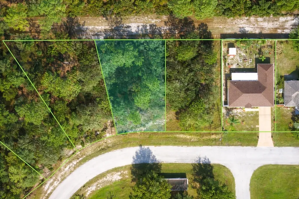 1226 Apopka Lane Kissimmee FL 34759