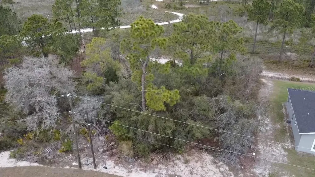 1226 Apopka Lane Kissimmee FL 34759