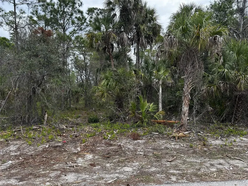 17436 Iago Avenue Port Charlotte FL 33954