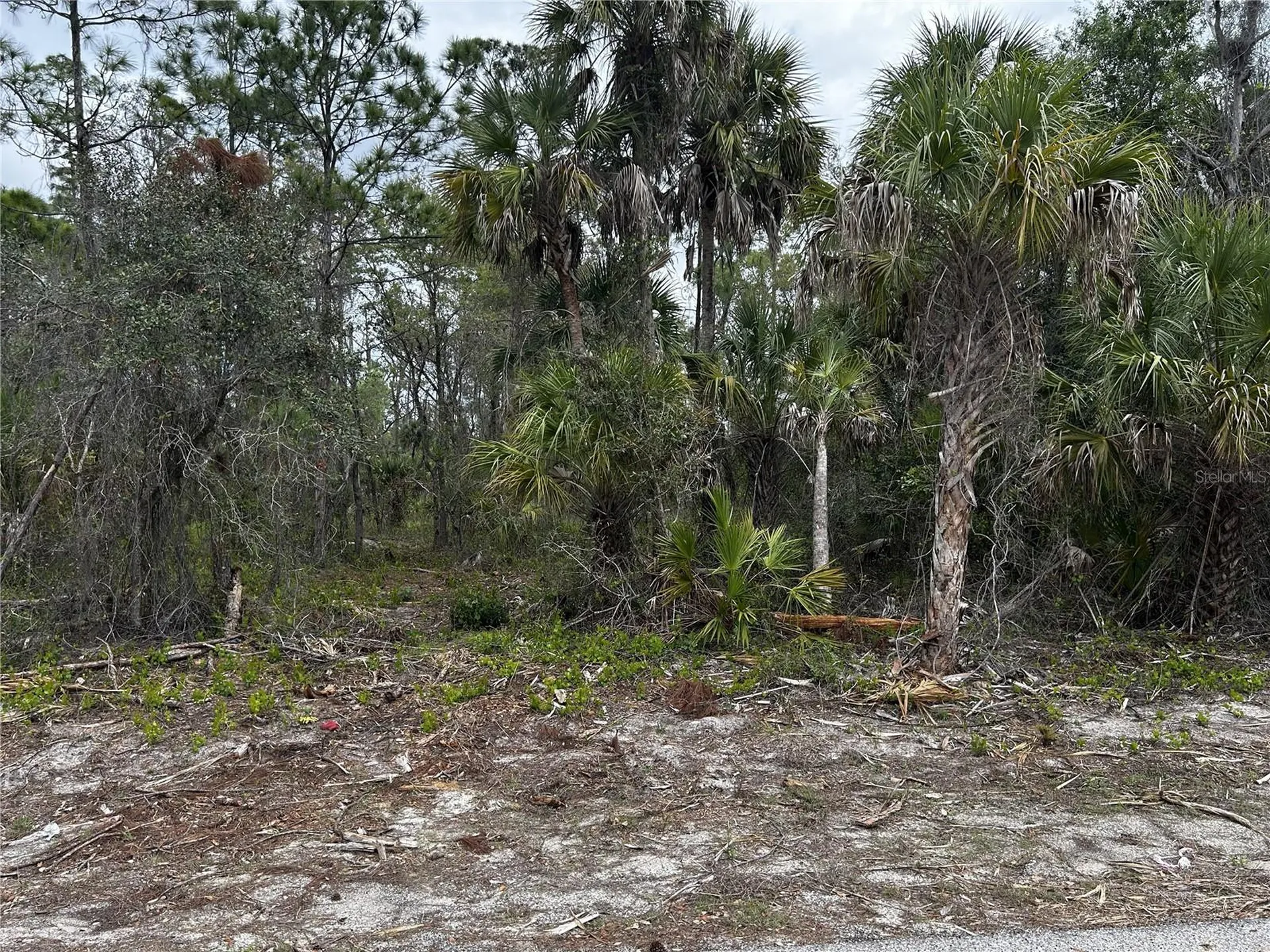 17436 Iago Avenue Port Charlotte FL 33954